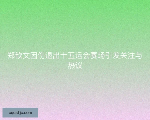 郑钦文因伤退出十五运会赛场引发关注与热议