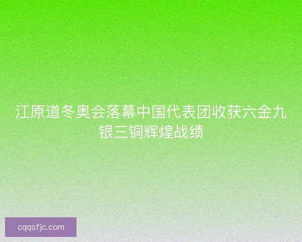 江原道冬奥会落幕中国代表团收获六金九银三铜辉煌战绩
