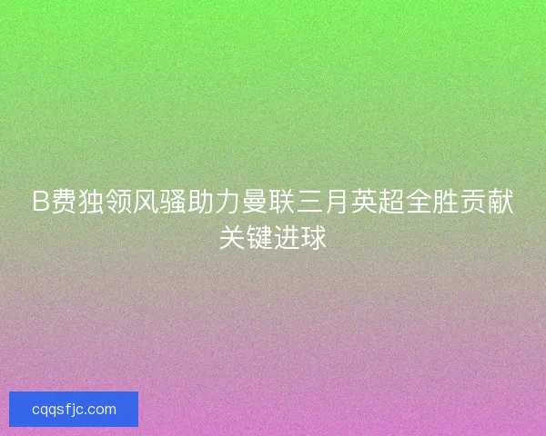 B费独领风骚助力曼联三月英超全胜贡献关键进球