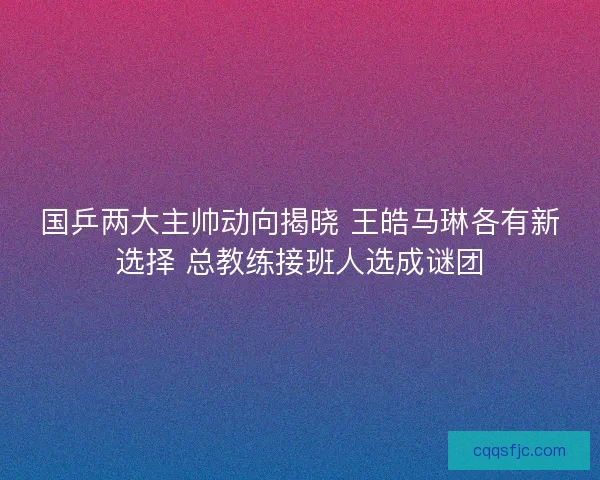 国乒两大主帅动向揭晓 王皓马琳各有新选择 总教练接班人选成谜团